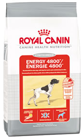 Royal Canin        